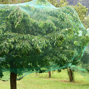 防鸟网纱果园防鸟用网葡萄园樱桃果树大棚菜园鱼塘天网尼龙拦鸟网