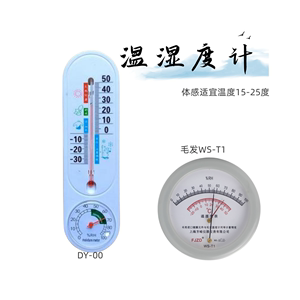 数字电子表壁挂式室内家用温湿度计办公仓储干湿球温度表272-2A