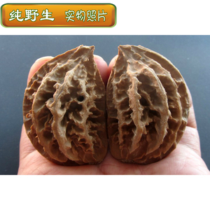 文玩核桃 2017 东北野生楸子 精品 异形半壁江山秋子核桃 r 113