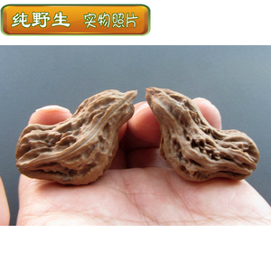 异形文玩核桃小鸟异型