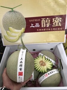 上品醇蜜玫瓏瓜2只装 爆甜软糯 新鲜水果玫珑瓜玲珑蜜瓜 顺丰包邮