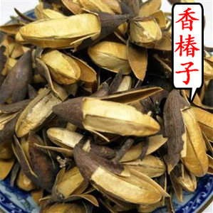 香椿树花