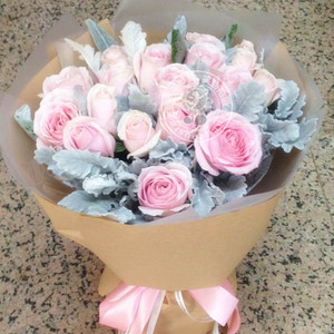 粉佳人粉色玫瑰银叶菊生日鲜花速递北京鲜花店送花同城鲜花快递