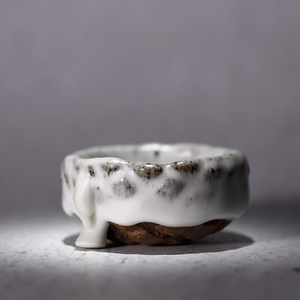 沐焰杯王忠伟茶