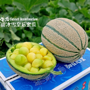 新疆蜜哈密瓜
