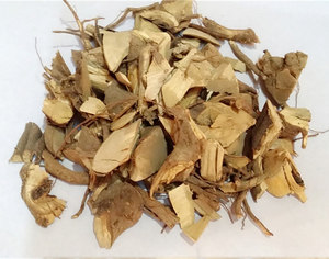 中草药纯根白小娘 白意根 白背叶根 白娘仔 狐狸尾根 500克