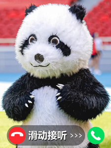 大熊猫充气人偶服装成人网红表演活动道具演出服北极熊卡通玩偶服