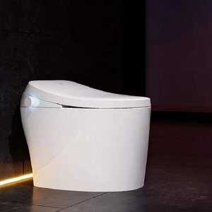 金牌卫浴蹲便器蹲坑水箱家用卫生间防臭蹲便器水箱整套套装卫浴