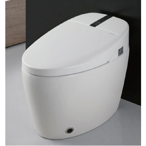 耐斯 mg-680智能马桶