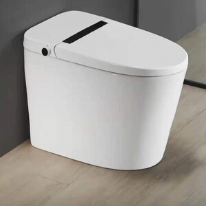 居然之家洛阳青岛路店浪鲸卫浴su579智能坐便