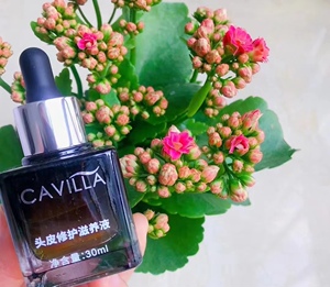 00遇见723淘宝cavilla卡维拉育发液发际线增长液头皮修护滋养液卡