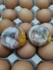 十八天毛鸡蛋