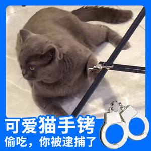 猫咪手铐恶搞金属狗小猫囚服小手铐戴惩罚宠物玩具可爱搞笑粉色扣