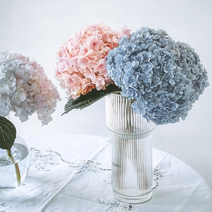绣球花瓶玻璃透明放绣球花小手球花器鲜花客厅插花摆件设计高级感