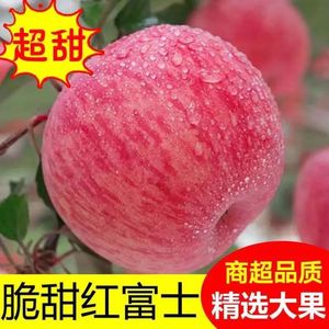 正宗陕西凤翔苹果水果新鲜整箱当季红富士冰糖心脆甜5斤包邮