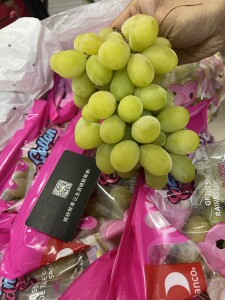 澳洲智利棉花糖青提焦糖味葡萄鲜果