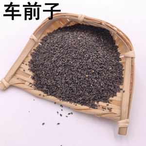 车前子50g