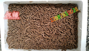 包邮新鲜蚂蚱卵、无土杂交蝗虫卵、蚂蚱种、蚂蚱种苗、高出苗率