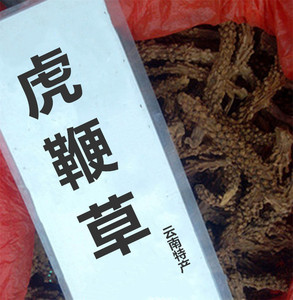 中药材虎鞭草 子孙草 虎边草 硬劲草 不老草 苗药泡酒料 500克