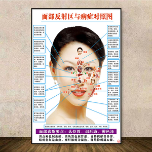 美容美体养生挂图 面部反射区对照图面诊展板面部解剖图 防水耐磨