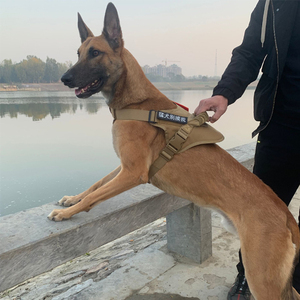 【军犬背心】军犬背心品牌,价格 - 阿里巴巴