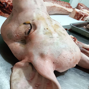 安徽大别山散养土黑猪猪头农户新鲜现杀土猪整只猪头15斤顺丰冷链