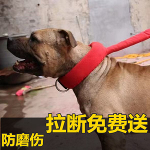 狗项圈斗狗比特犬猛犬训练装备卡斯罗中大型犬跑步机拖重铁链脖套