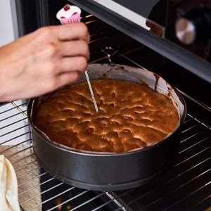 不锈钢蛋糕测试针玫瑰面包头生熟测试针检测蛋糕是否烤熟的工具
