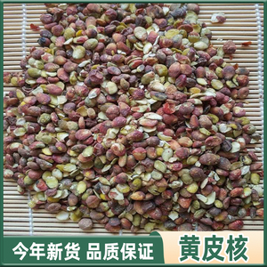 中药材黄皮核 山黄皮核 鸡皮果 山黄皮子黄皮籽 山黄皮果核500g克