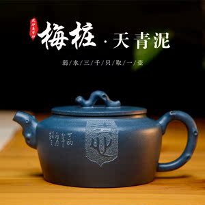 淘宝宜兴高档名家正宗天青泥紫砂茶壶茶具 梅桩功夫茶壶 风砂度紫砂