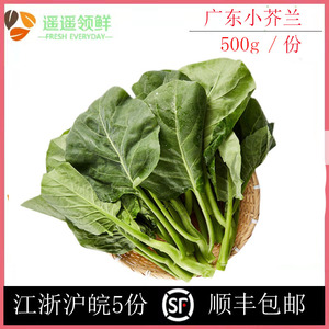 小芥兰新鲜蔬菜食用中花小芥兰广东芥蓝500克农家采摘白灼烧汤