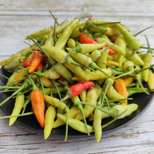 云南现摘白小米辣新鲜农家老品种小米辣椒泡椒原料特辣2斤包邮