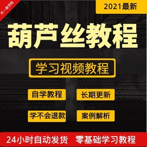 葫芦丝巴乌实用教程零基础全套视频课程初学入门乐谱自学视频教学