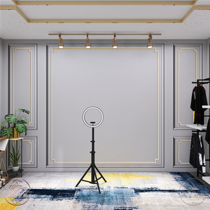 主播背景墙布-淘宝拼多多热销主播背景墙布货源拿货 - 阿里巴巴货源