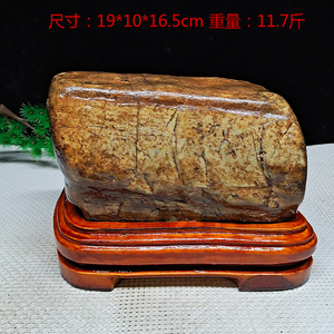 精品 天然大化石原石造型石精品水冲石摆件广西奇石草花石包邮