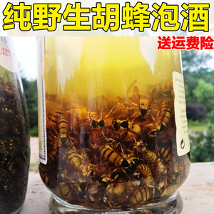 野生虎头蜂酒马蜂酒虎头蜂酒胡蜂酒蜂蜜酒农家自酿敬父母养生酒家