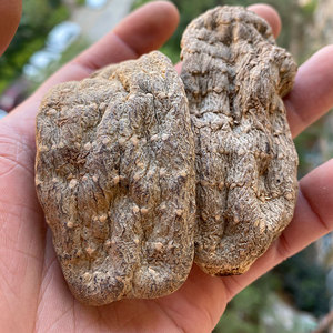 正宗昭通野生天麻 乌天麻 乌麻 小草坝乌天麻 支持打粉500g