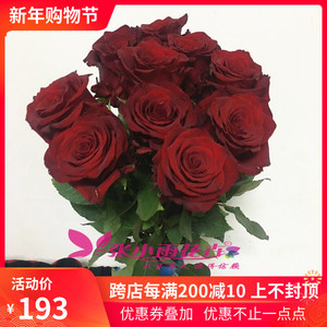厄瓜多尔大头玫瑰 探索者玫瑰花 暗红色枪炮玫瑰生日爱情鲜花礼物