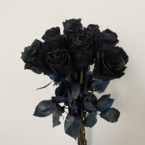 进口厄瓜多尔黑玫瑰 鲜花生日爱情礼物 高品质花束礼盒 同城速递