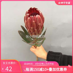南非进口公主花鲜花 红色公主花 新娘手捧花可做干花北京鲜花速递