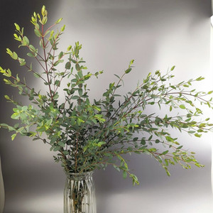 505人付款淘宝装饰网红植物尤加利叶干花鲜花永生花花束情人节摆件