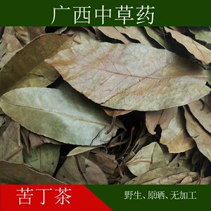 2017特级野生 苦丁茶 苦丁叶新茶散装 广西特产下火茶叶500g包邮