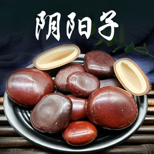 阴阳子中药材500g克木腰子广西过江龙子榼藤子泡酒料龙凤子可打粉