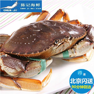 8-2斤一只进口生猛大螃蟹海鲜水产活珍宝蟹太子蟹公海蟹_阿里巴巴找货