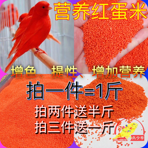 增色营养红鸡蛋米，金丝雀玉鸟，芙蓉鸟，红点颏增色红色素，500g