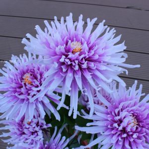 干花百合插花装饰花塑料高档仿真雏菊花紫色摆放上坟tb80915