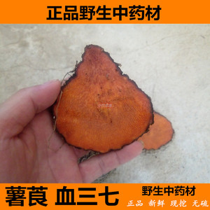 深山新鲜薯莨血三七血母朱砂莲红药子野生中药材500g满5斤起包邮