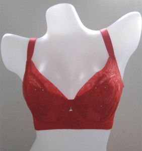 紫秀新款蕾丝性感文胸 聚拢调整型 收副乳 薄杯内衣文胸z106