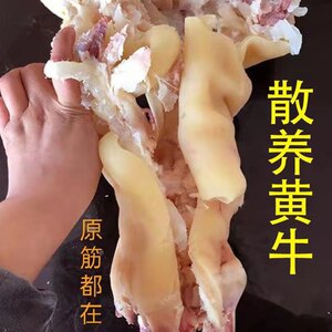 半熟牛蹄黄牛牛蹄子原味牛蹄牛脚牛蹄筋整只食用去骨牛蹄生鲜商用