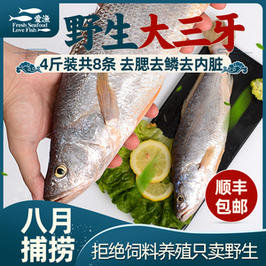 深海超大三牙鱼4斤新鲜冷冻海捕野生三齿鱼鲜活海鲜黄鱼水产顺丰